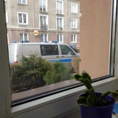 KortezPL - Uuuu któryś z sąsiadów ma kwarantanne, widziałem jak policjant machał do k...