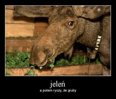 Piterwju - #piterwjuhumor #heheszki #humorobrazkowy