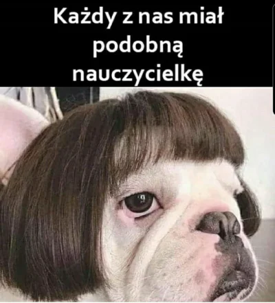 psonaczek - Kto miał? #heheszki #humorobrazkowy