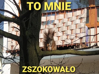 tmkirt - To mnie ZSZOKOWAŁO