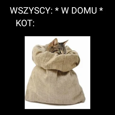 trwaidentyfikowanie - @trwaidentyfikowanie: Poczyniłam mema

#memy #koty #heheszki