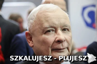 StaryWilk - #bekazpisu #polityka #koronawirus #2019ncov #wybory #wyboryprezydenckie20...