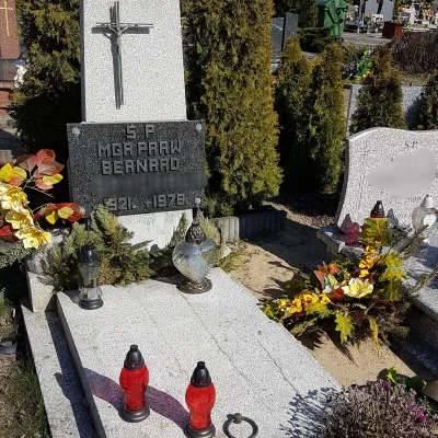 pogop - Taka ciekawostka z cmentarza. 1978 r. inne czasy w sumie.

#oswiadczenie #pra...