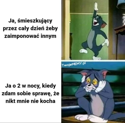 CiastozTruskawkami - #memy #depresja #heheszki #gownowpis