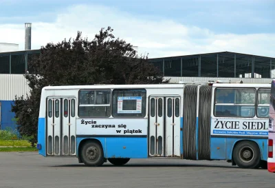 wowk - #autobusy #komunikacjamiejska #siedlce #ikarus