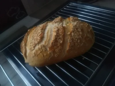 wndrxo - Popełniłam chlebek pszenny na pszennym zakwasie. Stygnie (｡◕‿‿◕｡)

#bojowkap...