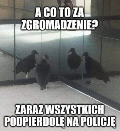 a....._ - #heheszki #humorobrazkowy