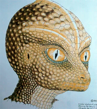 Kami-chan - @Wojak90: a to już nie masz problem tylko reptilian ¯\\(ツ)\/¯