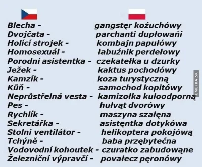 Horkheimer - @januszzczarnolasu: Co ciekawe, Czesi sobie żartują z języka polskiego. ...