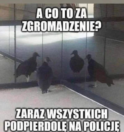 o.....3 - #heheszki #humorobrazkowy #koronawirus