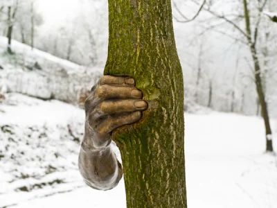 mybeer - @GienekMiecio: polecam twórczość Giuseppe Penone ( ͡° ͜ʖ ͡°)