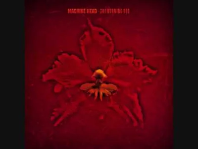 Sitra_Ahra - Machine Head - The Burning Red

#metal #muzyka #heavymetal