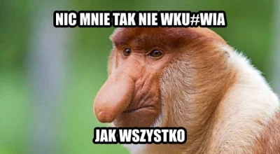 Ricx - Prawda
#nosaczsundajski #nosacz