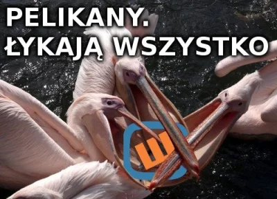 makolem - Wykopki łyknęły, jak zwykle ( ͡° ͜ʖ ͡°)