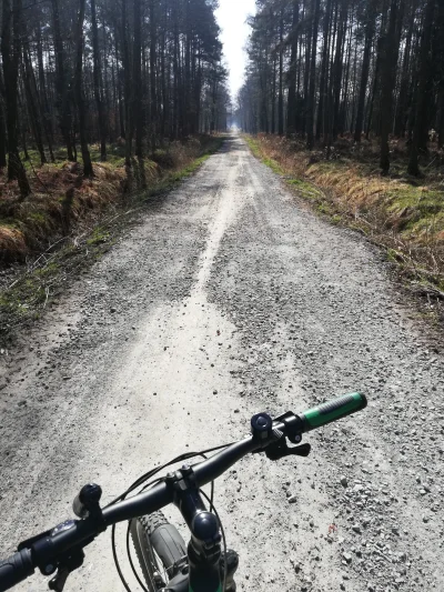 WideOpenShut - Dziś kolejny wypad rowerowy :) 50km głównie po lasach :) #rower