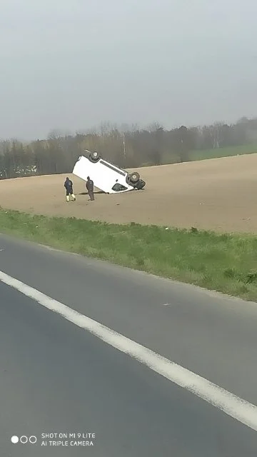 Camparix - Jak do tego doszło nie wiem 
#bekaztransa