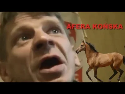 jegomosc1 - Afera końska z udziałem Pajora. 
#kononowicz #patostreamy