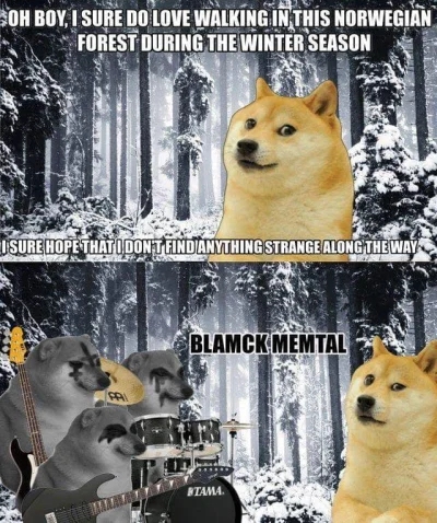 AGS__K - ᄽὁȍ ̪ őὀᄿ
#metal #metalmeme #blackmetal #heheszki #piesel #dodge