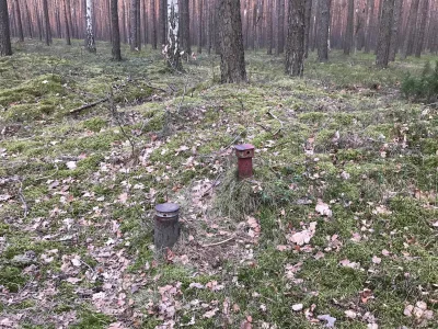 kalisiak - Zobaczyłem takie kominki dziś w lesie. Ktoś wie do czego to służy? 

#kich...