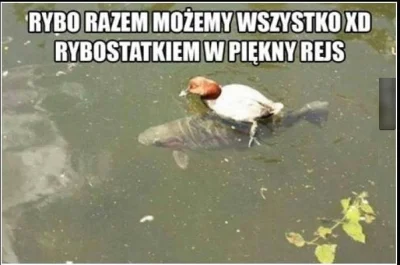 Patrz_to - Płyńmy na przygodę mój ty przyjacielu ( ͡° ͜ʖ ͡°)