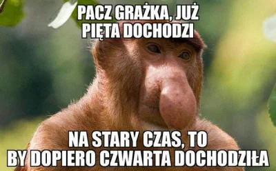 Michal0173 - No to klasycznie
#heheszki #humorobrazkowy #nosaczsundajski #polak