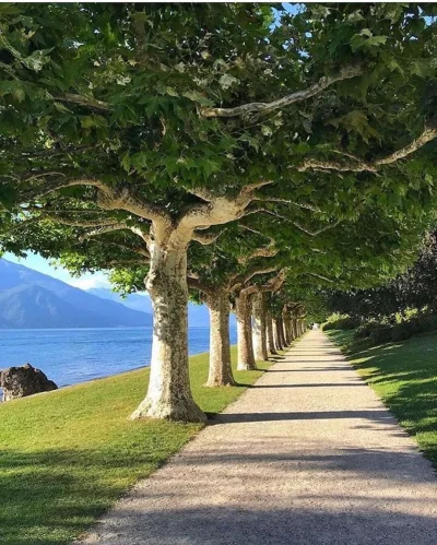 Castellano - Villa Melzi d'Eril, Bellagio, Włochy
photo: johnyunis
#fotografia #ear...