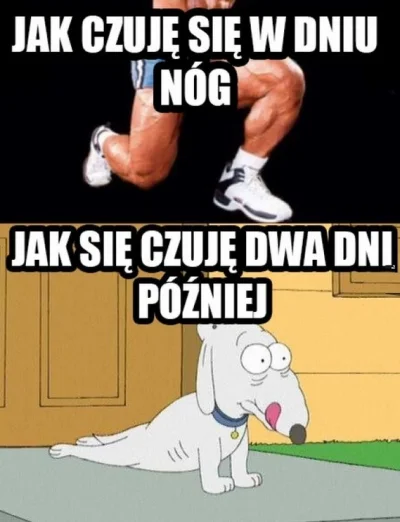 a....._ - Dzisiaj będą nogi, mam nadzieję, że jutro nie będę chodzić ( ͡°( ͡° ͜ʖ( ͡° ...