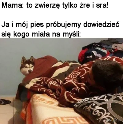 SkrytyZolw - #heheszki #humorobrazkowy