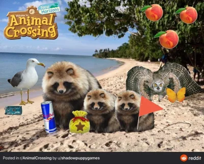 pVDai - Animal Crossing w prawdziwym życiu ( ͡° ͜ʖ ͡°)

#animalcrossing #nintendosw...