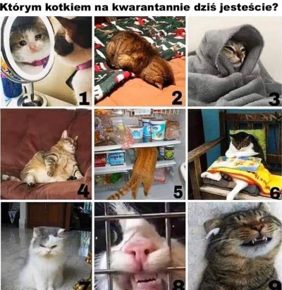Niop - #koronawirus #koty #heheszki #humorobrazkowy