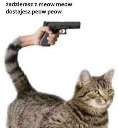 Patrz_to - Peow peow (งⱺ ͟ل͜ⱺ)ง