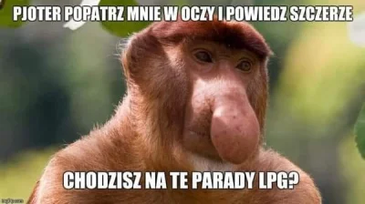 Polasz - RTVAGD
#nosaczsundajski #polak #heheszki