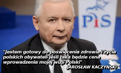 StaryWilk - #bekazpisu #polityka #koronawirus #2019ncov #wybory #wyboryprezydenckie20...