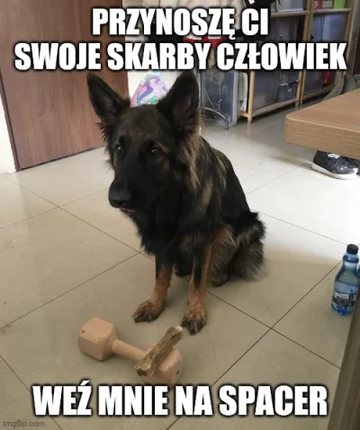 fiberian_hufky76 - @CZLOWIEK89: tak było