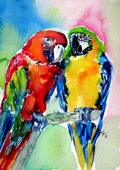 malakropka - Cute Parrots In Love_