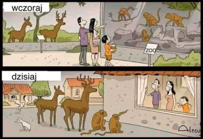 merti - #humorobrazkowy #zoo #koronawirus #ludzie #zwierzeta 
#heheszki