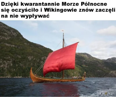 M.....o - #humorobrazkowy #heheszki #koronawirus #epidemia