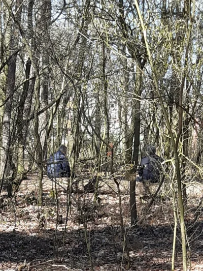 ktryb - Nawet leśne pijaczki zachowują 2 metry odstępu
#koronawirus
#heheszki
#zostan...