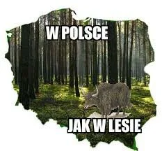 Eriksen - Polska odzyskuje RiGCZ, już nie jak w lesie, bo jest zakaz wstępu. Dziękuję...