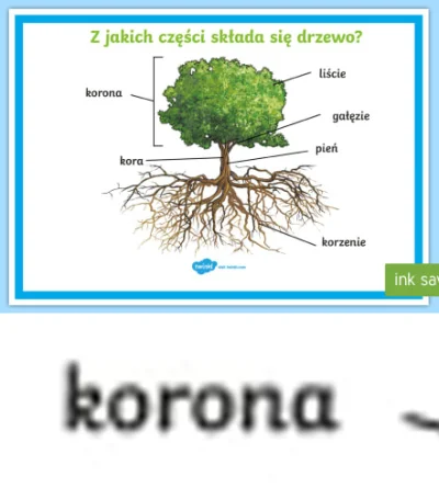 m.....k - > wiadomo, że drzewo jest nosicielem koronawirusa

@oba-manigger: 

Sza...