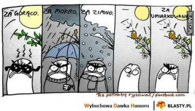 Zbigszew - #pogoda