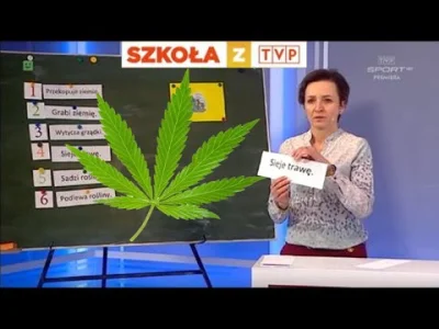 Mirekzkolega - #lekcjeonline #tvpis #nauczyciele #heheszki #koronawirus