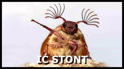 acidd - @przegrany_przegryw: