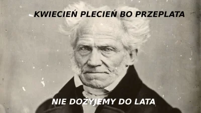 mutozostaw - #schopenhauer #motywacja