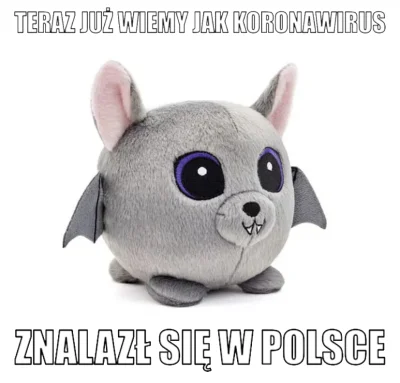 go-away - #koronawirus #heheszki #memy #biedronka