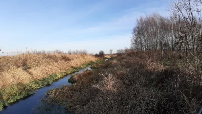 producent_smogu - Moje epidemiczne bulwary co prawda zdjęcie ze stycznia ale jeszcze ...