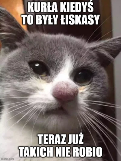 lululu - #koty 
#humorobrazkowy 
#heheszki