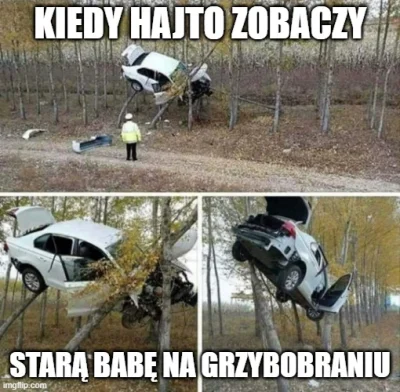 wfd - #hajto #tomaszhajto #heheszki #humorobrazkowy