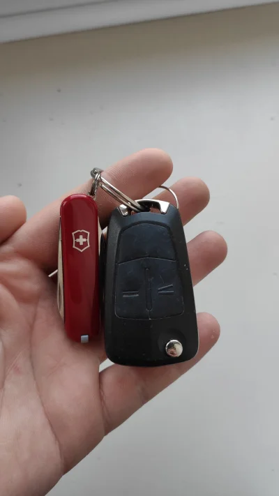 kubek06 - To jest złoto 
#victorinox