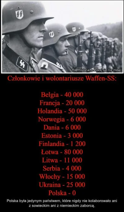 100piwdlapiotsza - @zwora: ale pamiętajmy o nacjach, które wspierały Niemców mordując...